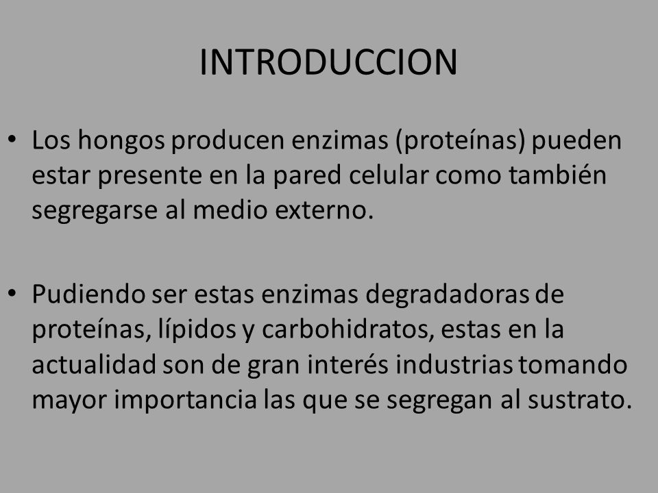 INTRODUCCION Los hongos producen enzimas (proteínas) pueden estar presente en la pared celular como también segregarse al medio externo.
