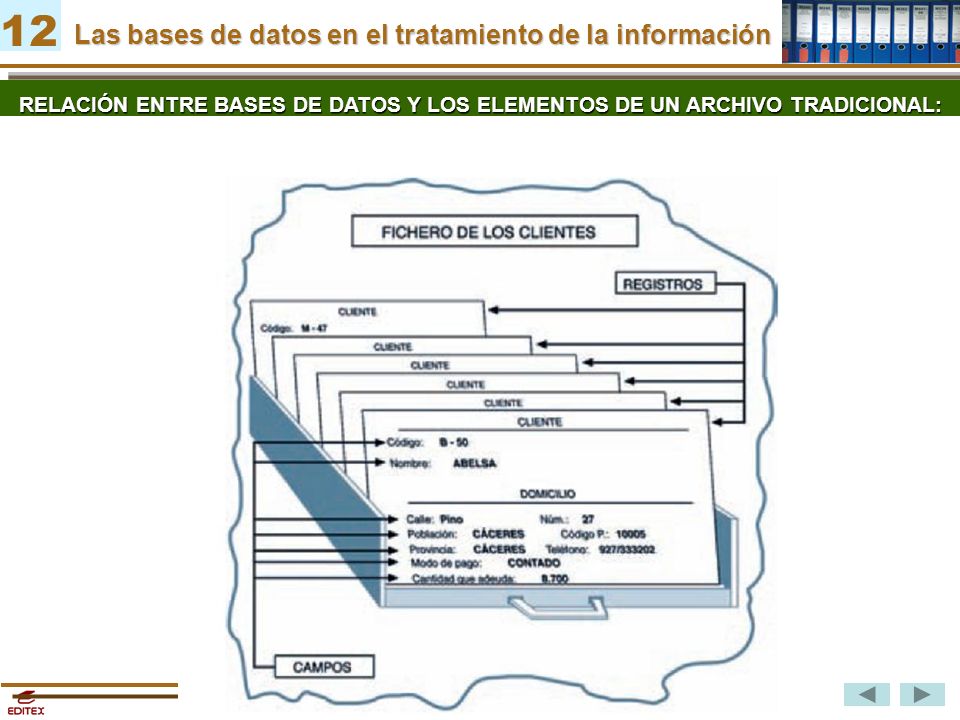 Las bases de datos en el tratamiento de la información