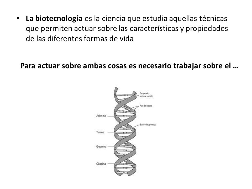 La biotecnología es la ciencia que estudia aquellas técnicas que permiten actuar sobre las características y propiedades de las diferentes formas de vida