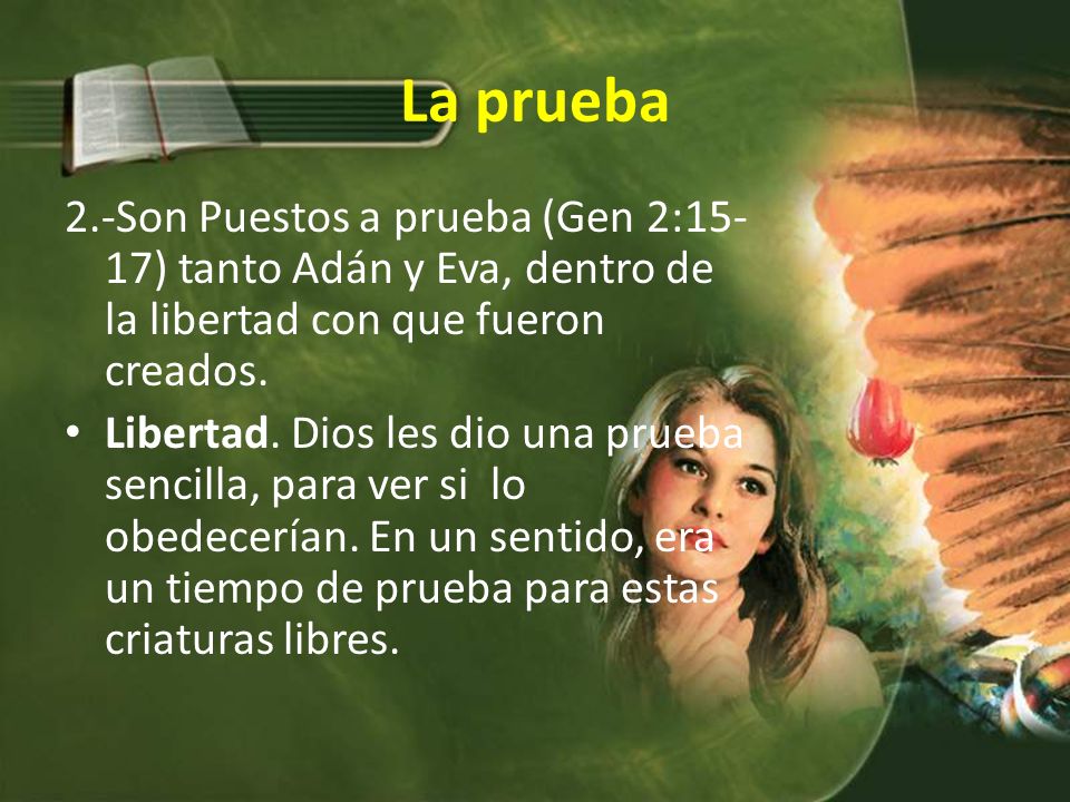La prueba 2.-Son Puestos a prueba (Gen 2:15-17) tanto Adán y Eva, dentro de la libertad con que fueron creados.
