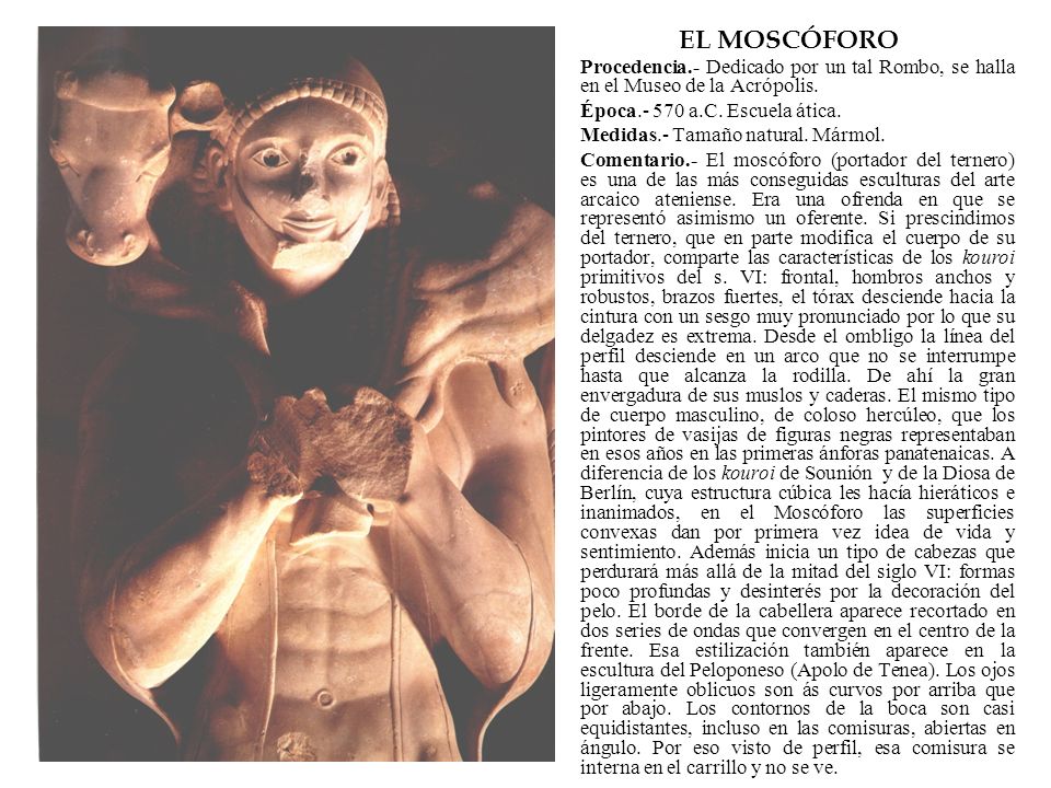 EL MOSCÓFORO Procedencia.- Dedicado por un tal Rombo, se halla en el Museo de la Acrópolis. Época a.C. Escuela ática.