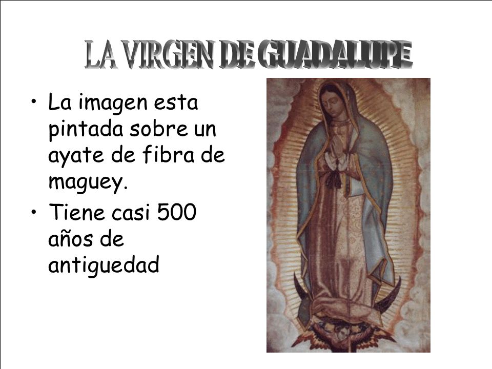 LA VIRGEN DE GUADALUPE La imagen esta pintada sobre un ayate de fibra de maguey.