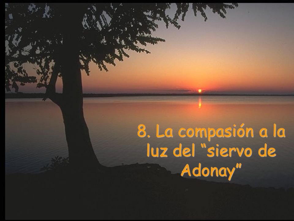 8. La compasión a la luz del siervo de Adonay