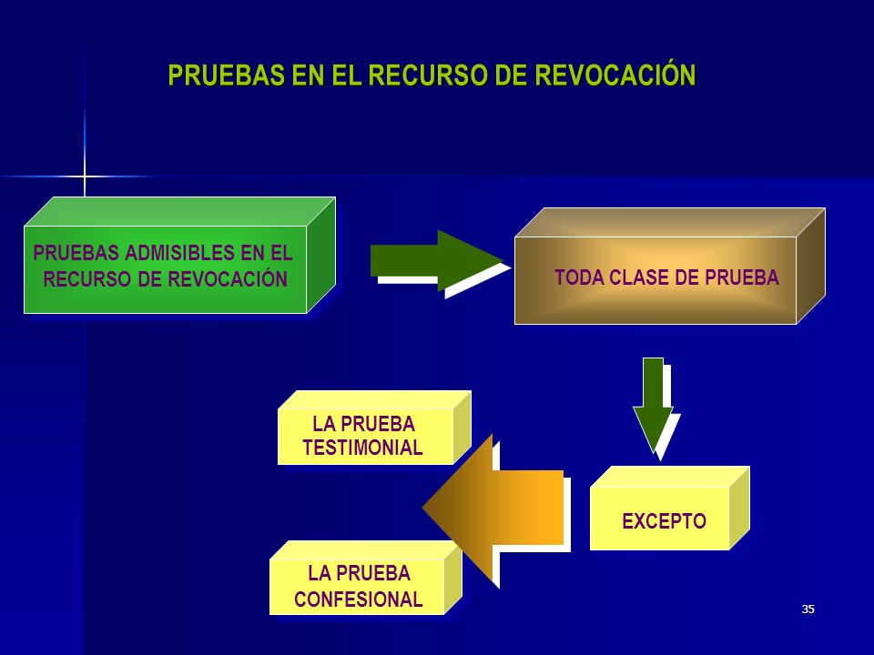 PRUEBAS EN EL RECURSO DE REVOCACIÓN PRUEBAS ADMISIBLES EN EL