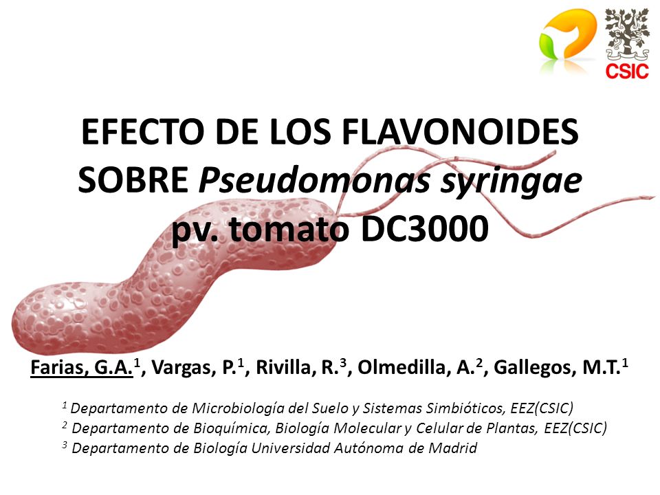 EFECTO DE LOS FLAVONOIDES SOBRE Pseudomonas syringae pv. tomato DC3000