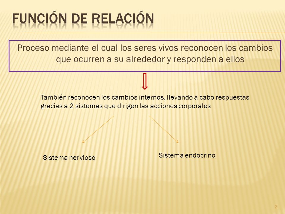 Función de relación Proceso mediante el cual los seres vivos reconocen los cambios que ocurren a su alrededor y responden a ellos.