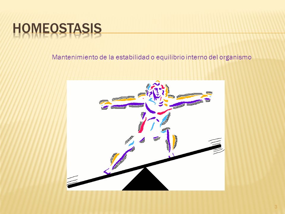 Homeostasis Mantenimiento de la estabilidad o equilibrio interno del organismo