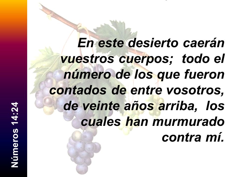 En este desierto caerán vuestros cuerpos; todo el número de los que fueron contados de entre vosotros, de veinte años arriba, los cuales han murmurado contra mí.