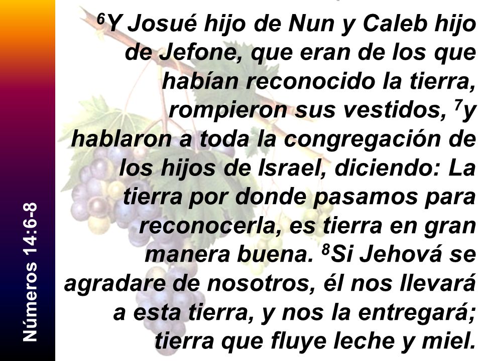 6Y Josué hijo de Nun y Caleb hijo de Jefone, que eran de los que habían reconocido la tierra, rompieron sus vestidos, 7y hablaron a toda la congregación de los hijos de Israel, diciendo: La tierra por donde pasamos para reconocerla, es tierra en gran manera buena. 8Si Jehová se agradare de nosotros, él nos llevará a esta tierra, y nos la entregará; tierra que fluye leche y miel.
