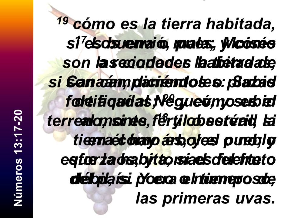 19 cómo es la tierra habitada, si es buena o mala; y cómo son las ciudades habitadas, si son campamentos o plazas fortificadas; 20 y cómo es el terreno, si es fértil o estéril, si en él hay árboles o no; y esforzaos, y tomad del fruto del país. Y era el tiempo de las primeras uvas.
