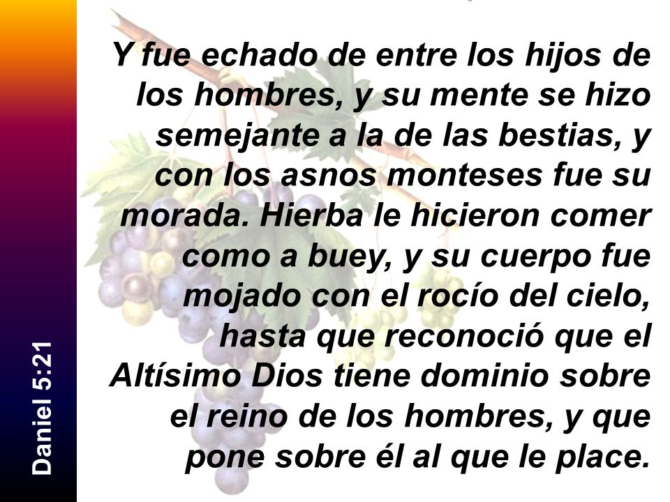 Y fue echado de entre los hijos de los hombres, y su mente se hizo semejante a la de las bestias, y con los asnos monteses fue su morada. Hierba le hicieron comer como a buey, y su cuerpo fue mojado con el rocío del cielo, hasta que reconoció que el Altísimo Dios tiene dominio sobre el reino de los hombres, y que pone sobre él al que le place.