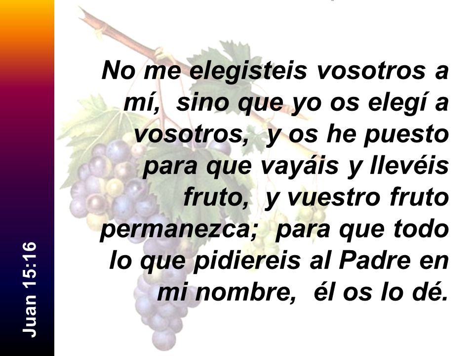 No me elegisteis vosotros a mí, sino que yo os elegí a vosotros, y os he puesto para que vayáis y llevéis fruto, y vuestro fruto permanezca; para que todo lo que pidiereis al Padre en mi nombre, él os lo dé.