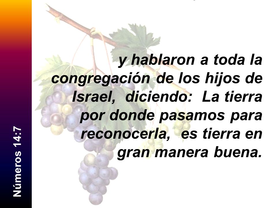 y hablaron a toda la congregación de los hijos de Israel, diciendo: La tierra por donde pasamos para reconocerla, es tierra en gran manera buena.