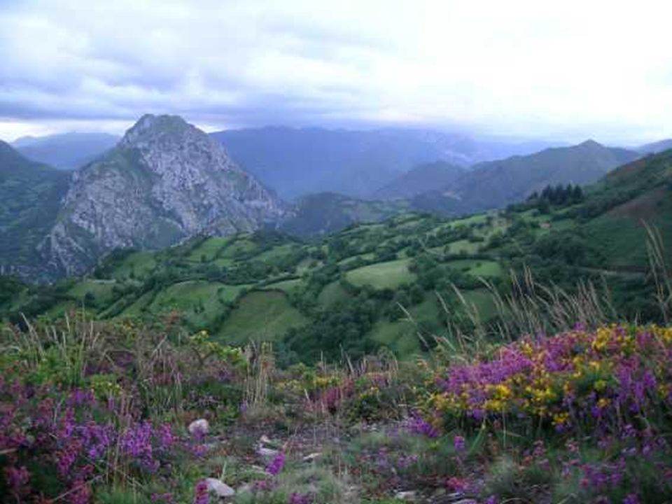 LLEGAR A LA CUMBRE NOS PARECE O MUY DIFICIL O IMPOSIBLE