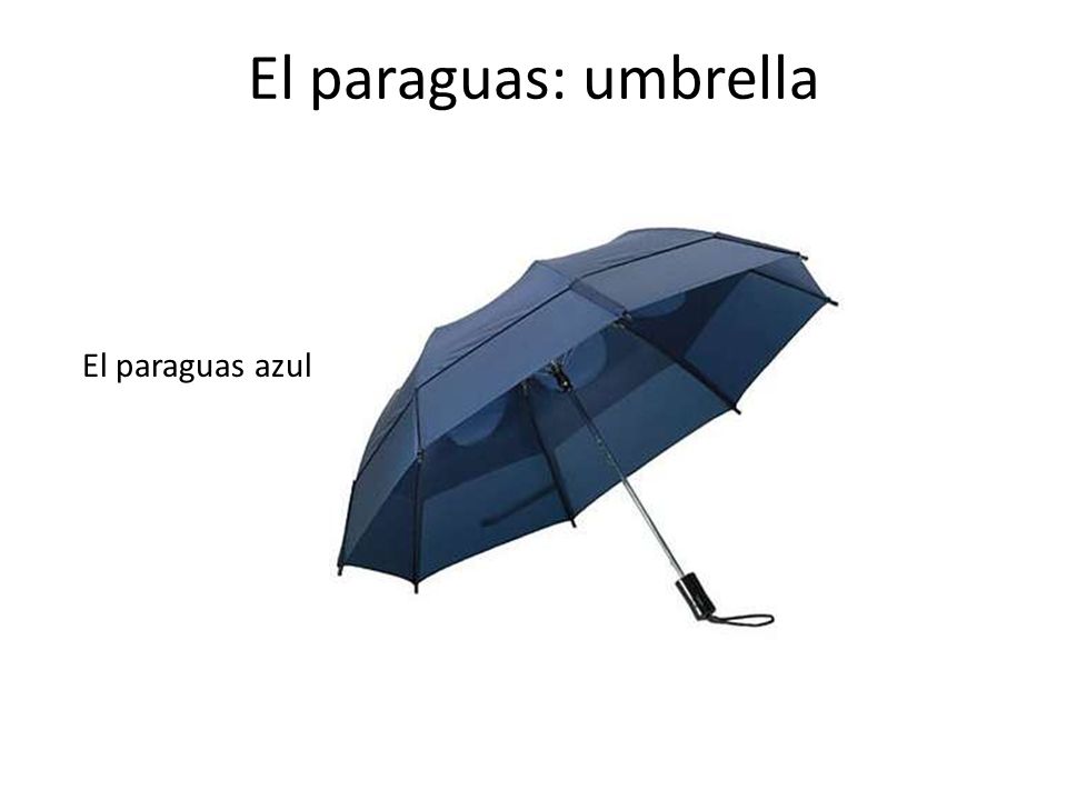 El paraguas: umbrella El paraguas azul