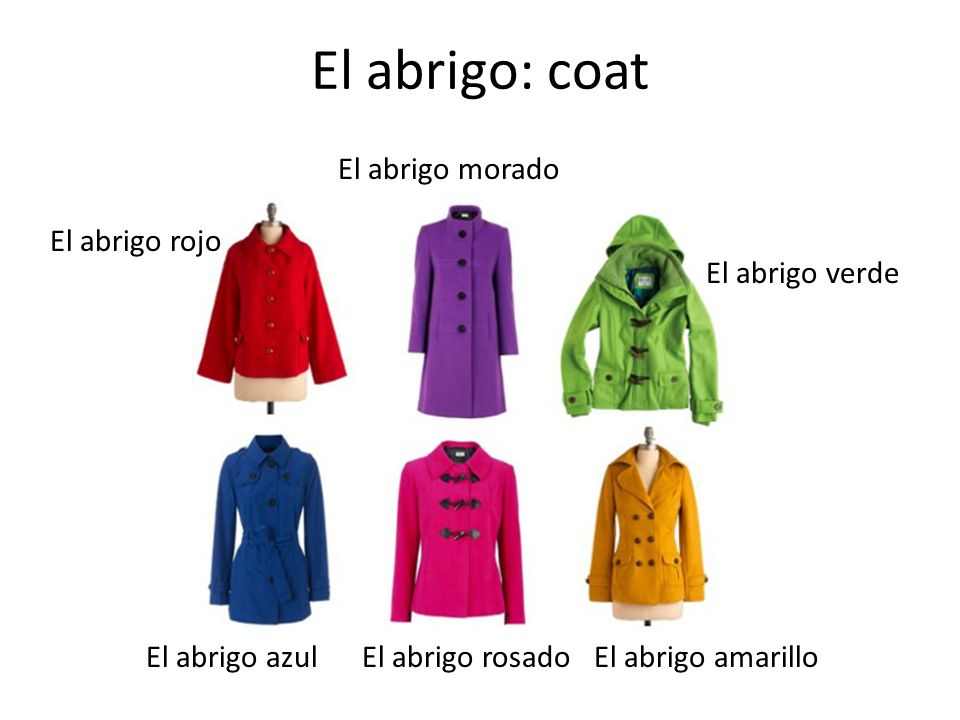 El abrigo: coat El abrigo morado El abrigo rojo El abrigo verde