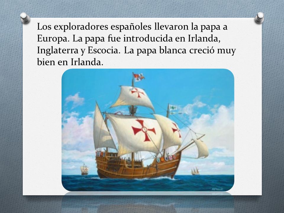 Los exploradores españoles llevaron la papa a Europa