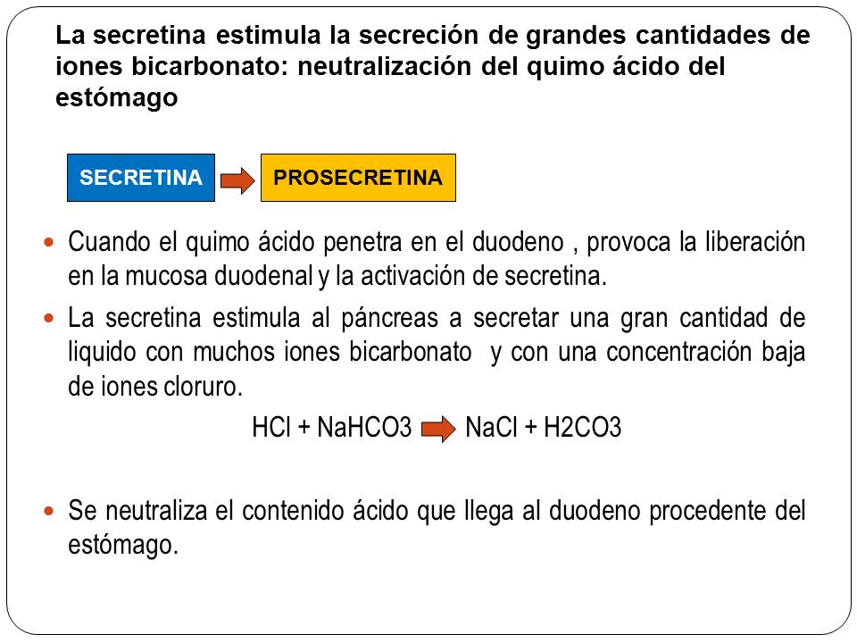 La secretina estimula la secreción de grandes cantidades de iones bicarbonato: neutralización del quimo ácido del estómago