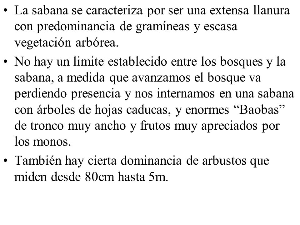 La sabana se caracteriza por ser una extensa llanura con predominancia de gramíneas y escasa vegetación arbórea.