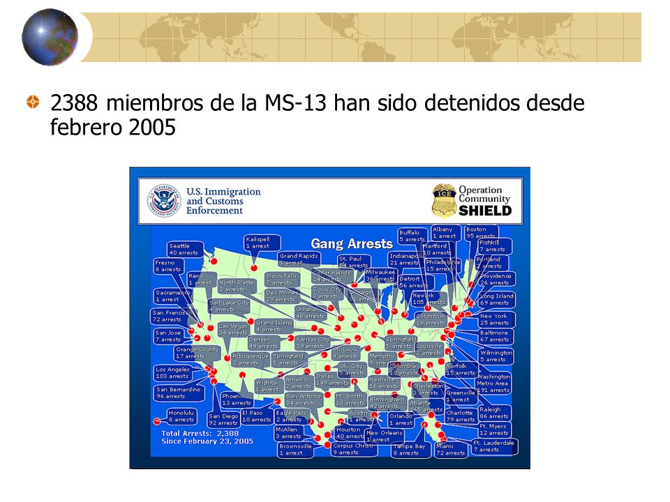 2388 miembros de la MS-13 han sido detenidos desde febrero 2005