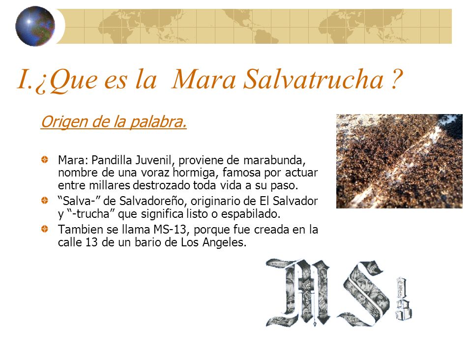 I.¿Que es la Mara Salvatrucha