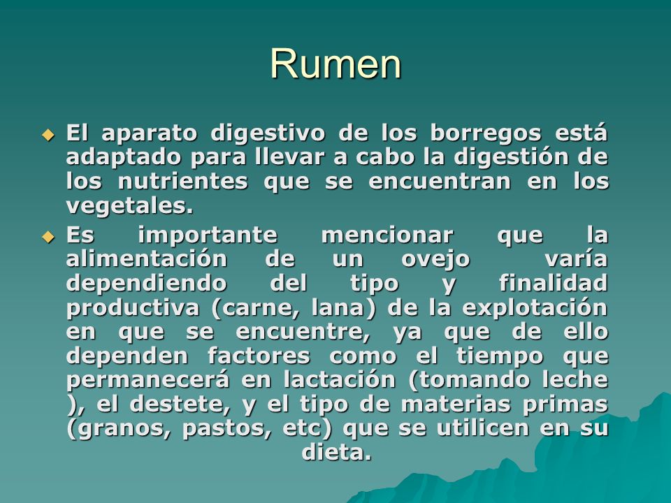 Rumen El aparato digestivo de los borregos está adaptado para llevar a cabo la digestión de los nutrientes que se encuentran en los vegetales.