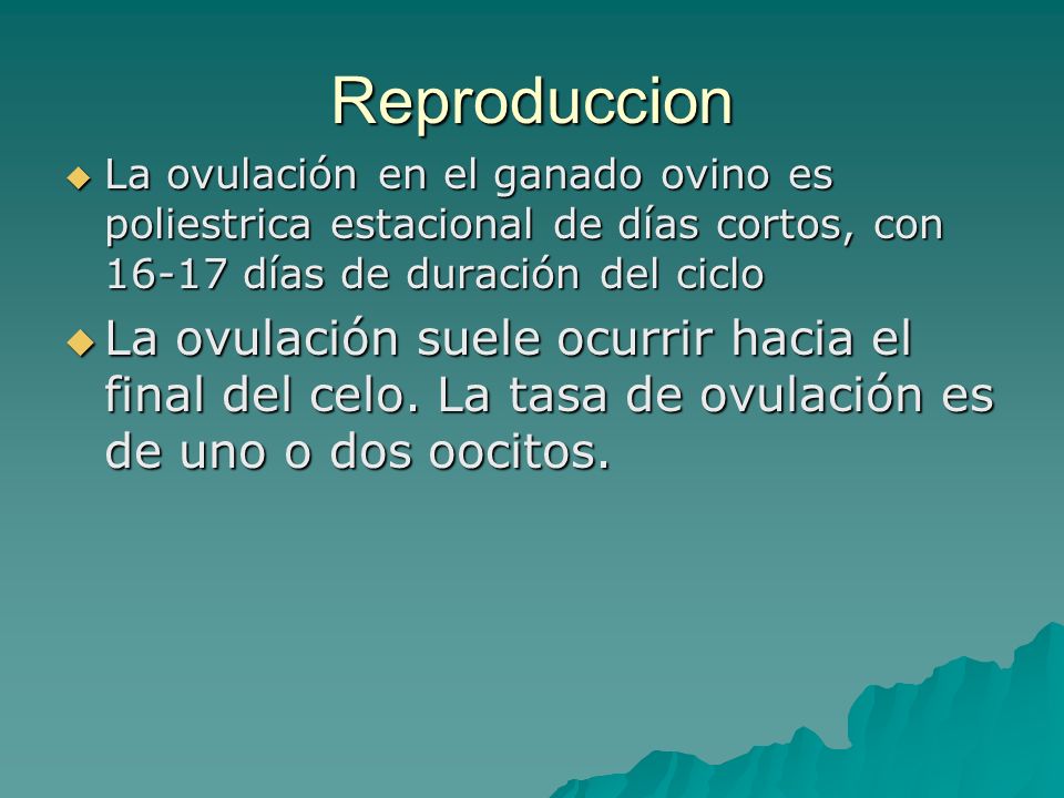 Reproduccion La ovulación en el ganado ovino es poliestrica estacional de días cortos, con días de duración del ciclo.
