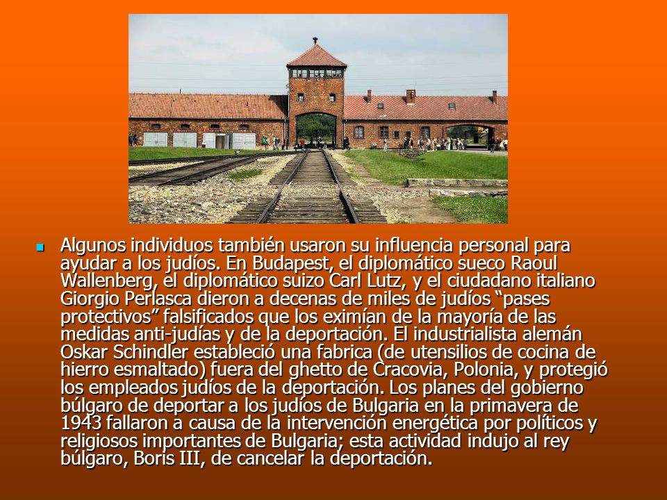 Algunos individuos también usaron su influencia personal para ayudar a los judíos.