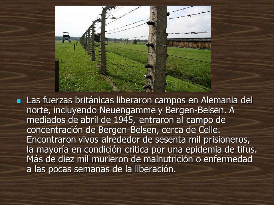 Las fuerzas británicas liberaron campos en Alemania del norte, incluyendo Neuengamme y Bergen-Belsen.