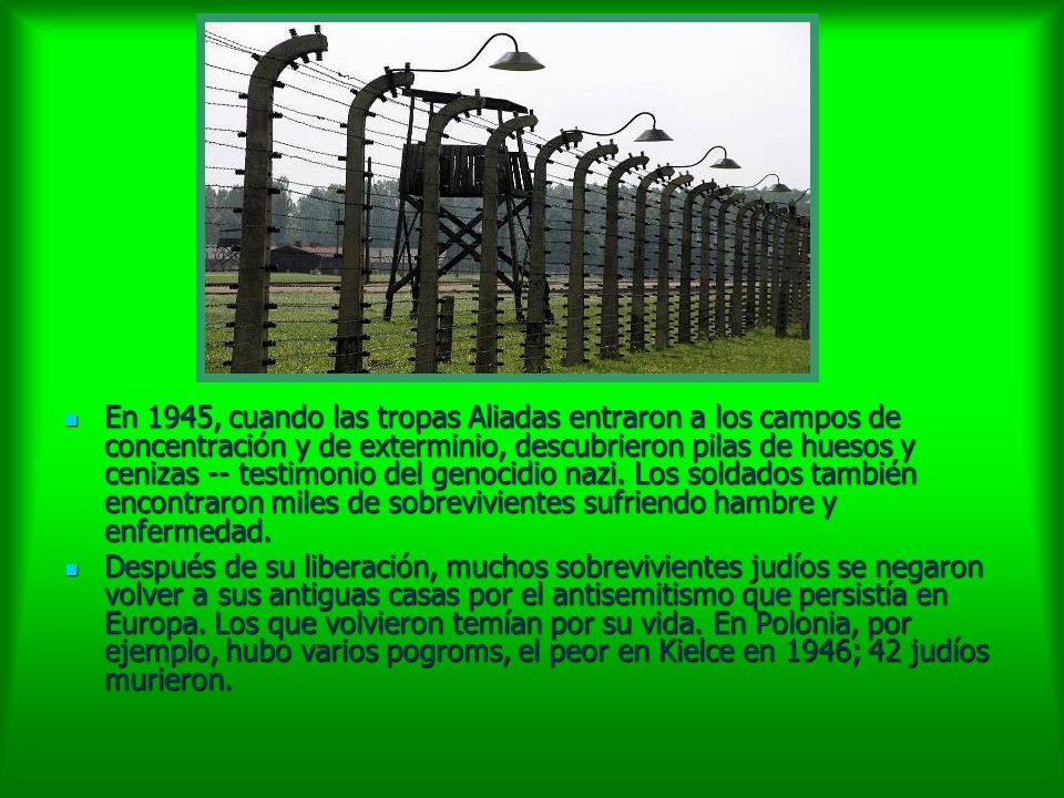 En 1945, cuando las tropas Aliadas entraron a los campos de concentración y de exterminio, descubrieron pilas de huesos y cenizas -- testimonio del genocidio nazi. Los soldados también encontraron miles de sobrevivientes sufriendo hambre y enfermedad.