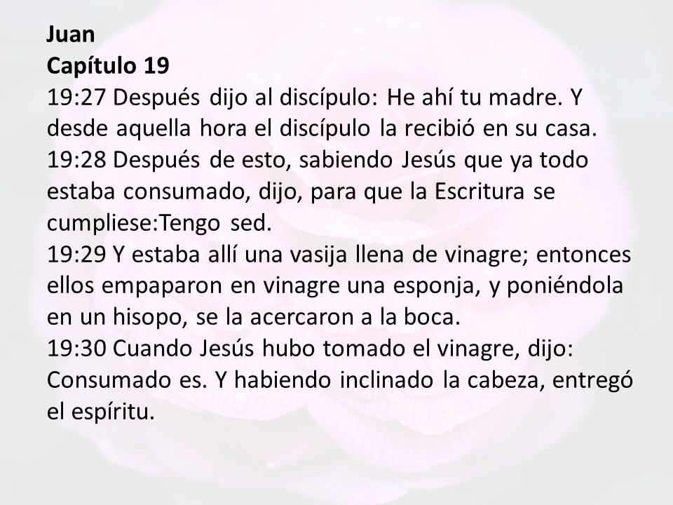 Juan Capítulo 19.