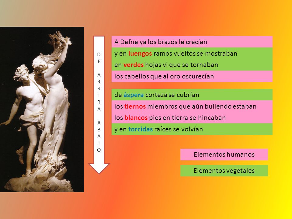 A Dafne ya los brazos le crecían A Dafne ya los brazos le crecían