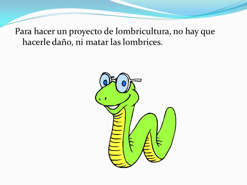 Para hacer un proyecto de lombricultura, no hay que hacerle daño, ni matar las lombrices.