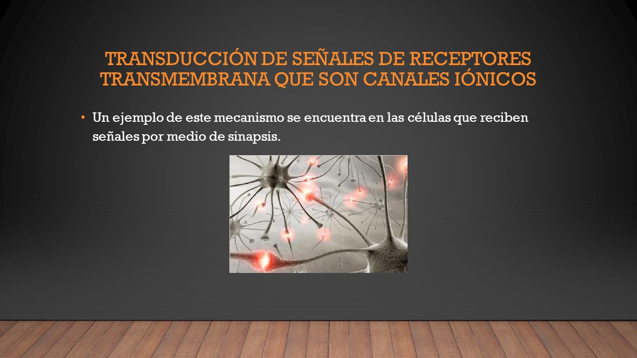 Transducción de señales de receptores transmembrana que son canales iónicos