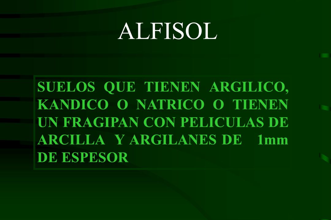 ALFISOL SUELOS QUE TIENEN ARGILICO, KANDICO O NATRICO O TIENEN UN FRAGIPAN CON PELICULAS DE ARCILLA Y ARGILANES DE 1mm DE ESPESOR.