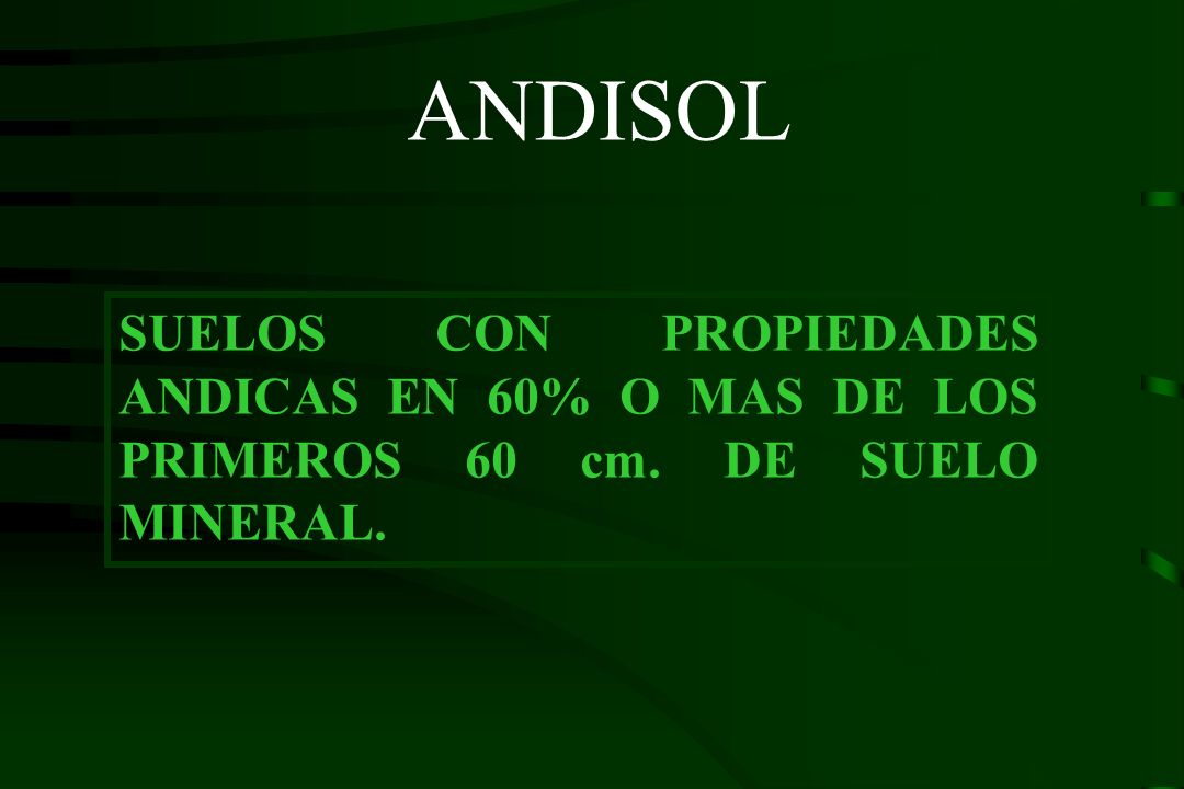 ANDISOL SUELOS CON PROPIEDADES ANDICAS EN 60% O MAS DE LOS PRIMEROS 60 cm. DE SUELO MINERAL.