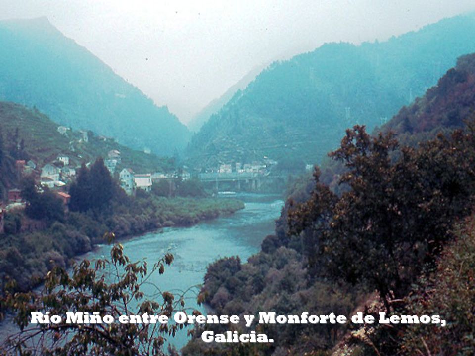 Río Miño entre Orense y Monforte de Lemos, Galicia.