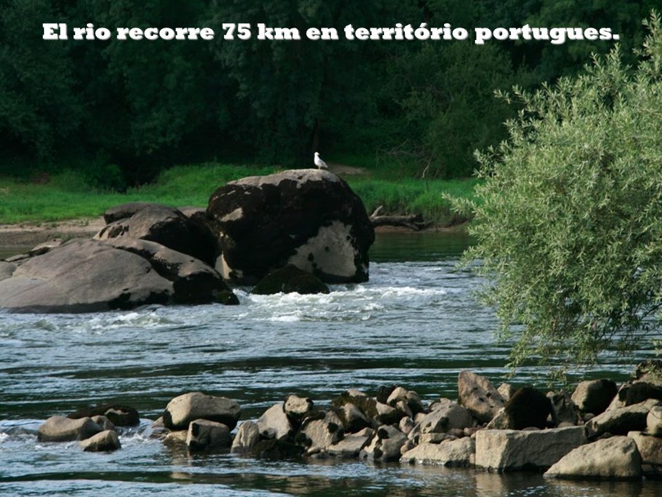 El rio recorre 75 km en território portugues.