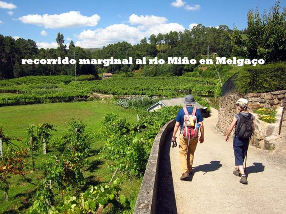 recorrido marginal al rio Miño en Melgaço