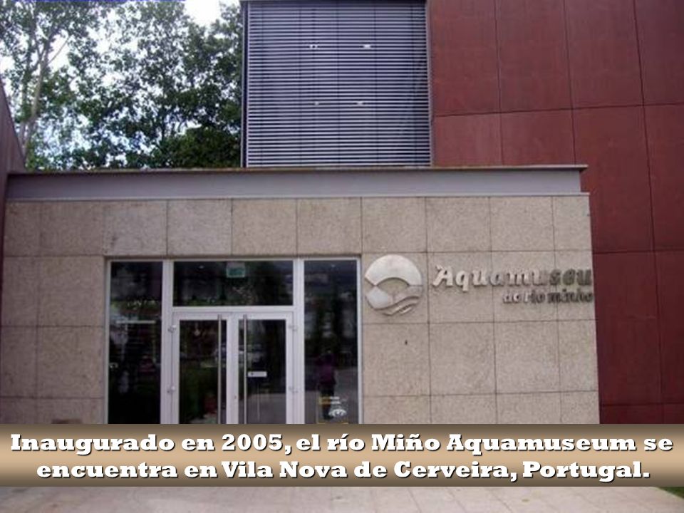 Inaugurado en 2005, el río Miño Aquamuseum se encuentra en Vila Nova de Cerveira, Portugal.
