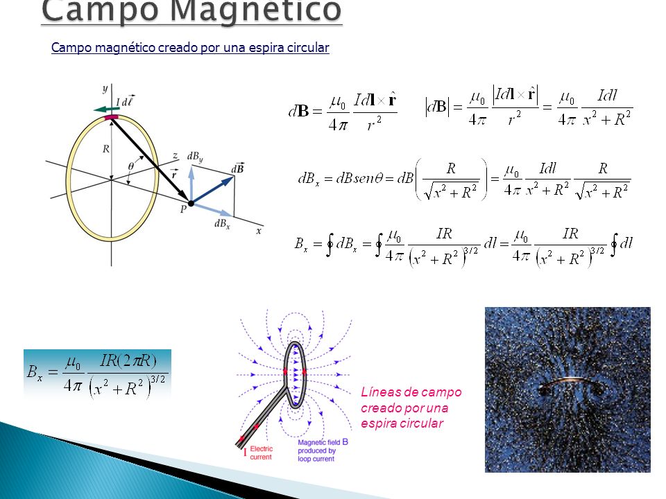 Campo Magnético Campo magnético creado por una espira circular
