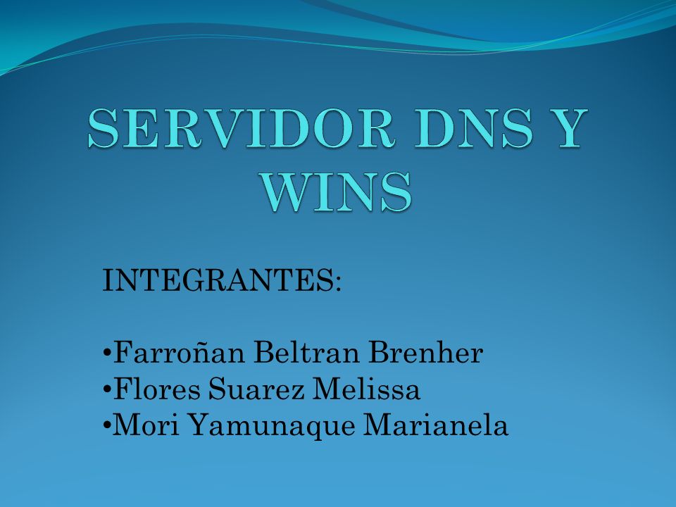 SERVIDOR DNS Y WINS INTEGRANTES: Farroñan Beltran Brenher