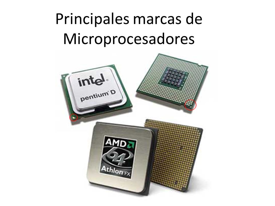 Principales marcas de Microprocesadores