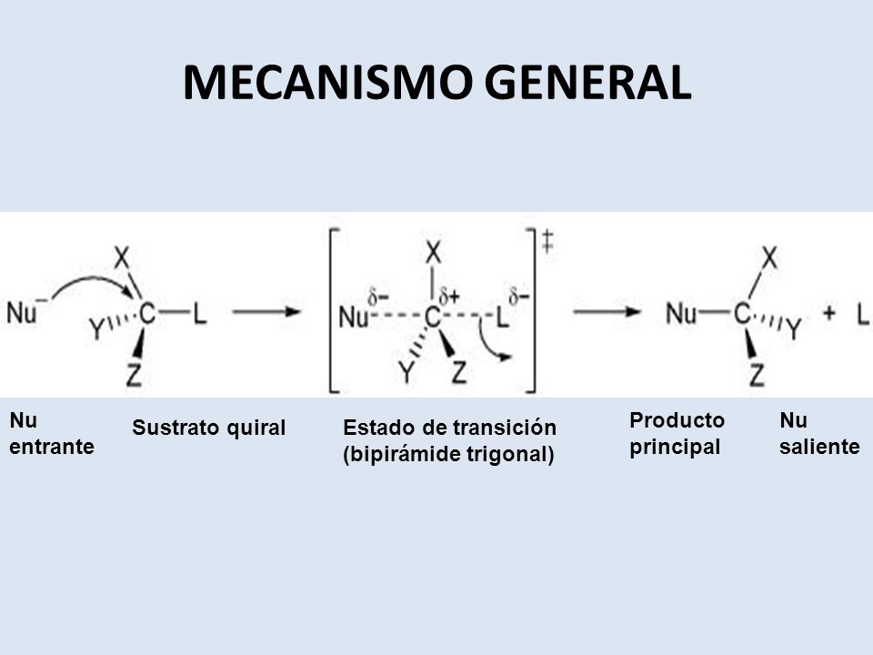 MECANISMO GENERAL Nu entrante Producto principal Nu saliente