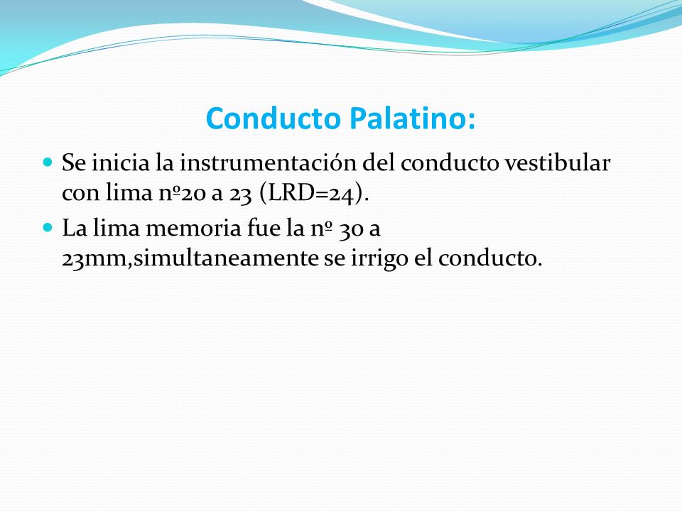 Conducto Palatino: Se inicia la instrumentación del conducto vestibular con lima nº20 a 23 (LRD=24).