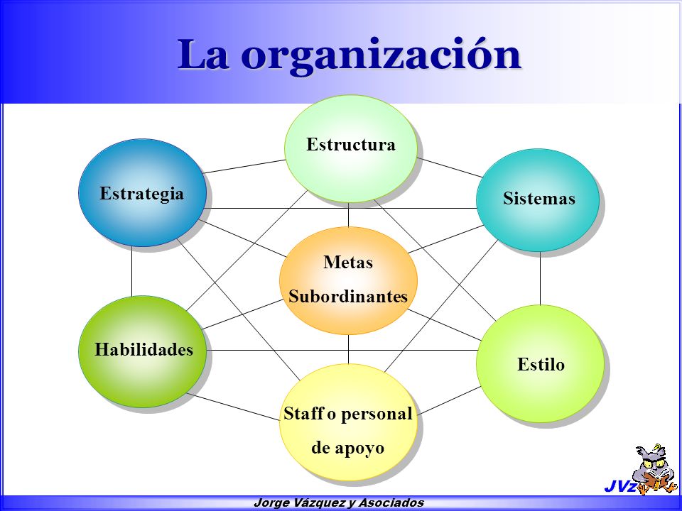 Las Seis Partes Básicas de la Organización