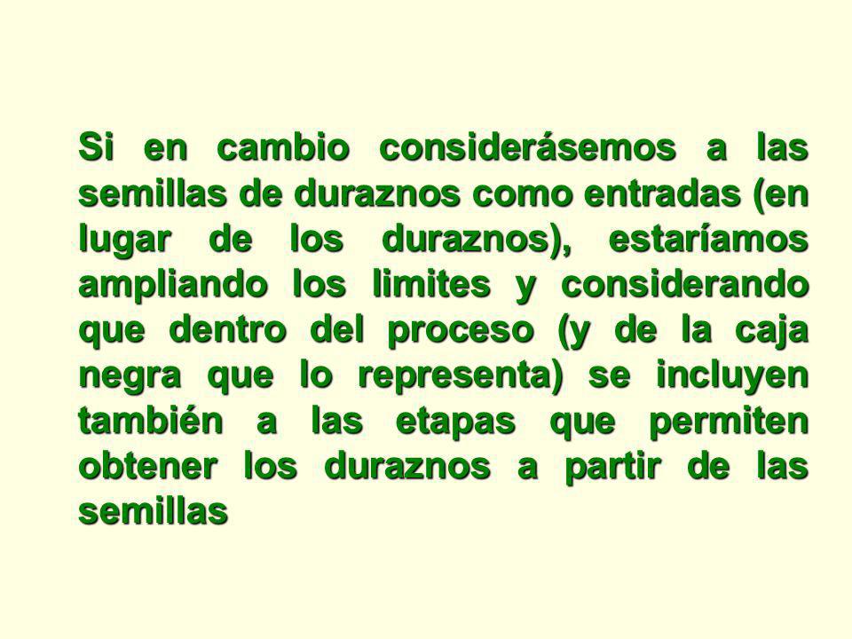 Si en cambio considerásemos a las semillas de duraznos como entradas (en lugar de los duraznos), estaríamos ampliando los limites y considerando que dentro del proceso (y de la caja negra que lo representa) se incluyen también a las etapas que permiten obtener los duraznos a partir de las semillas