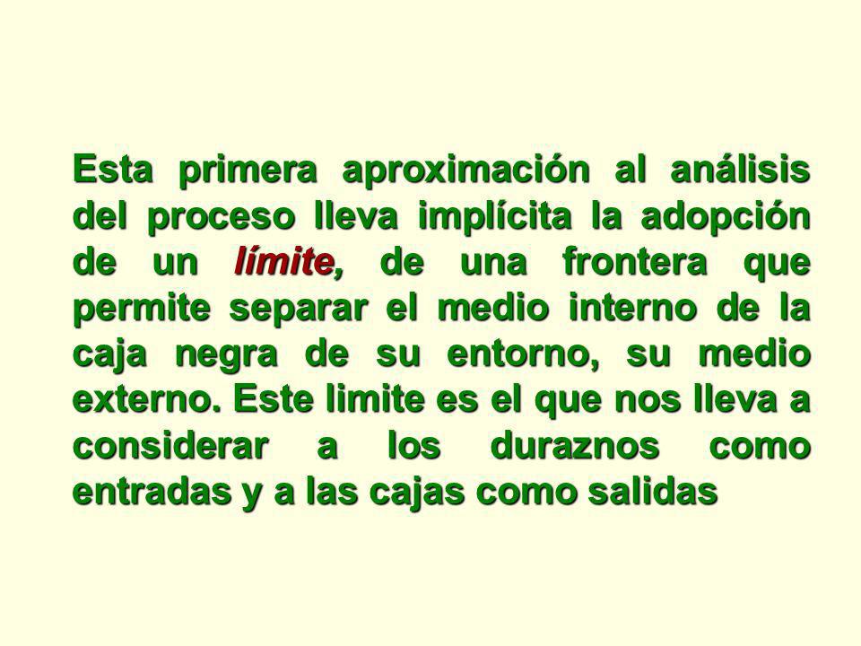 Esta primera aproximación al análisis del proceso lleva implícita la adopción de un límite, de una frontera que permite separar el medio interno de la caja negra de su entorno, su medio externo.