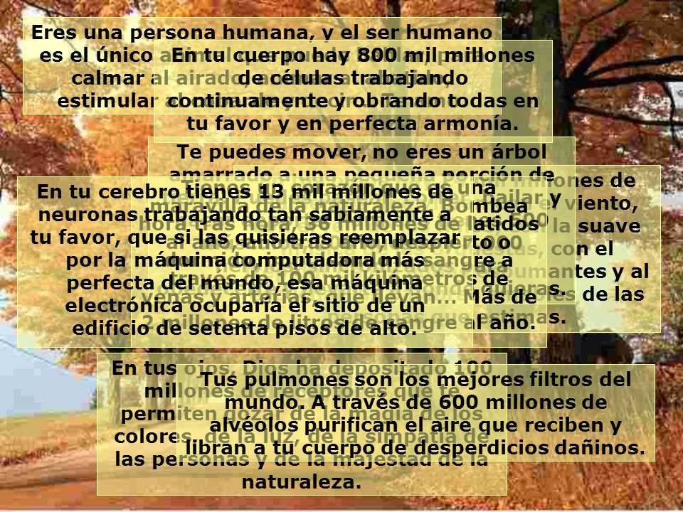 Eres una persona humana, y el ser humano es el único animal que puede hablar, para calmar al airado, animar al abatido, estimular al cobarde y decir... Te amo.
