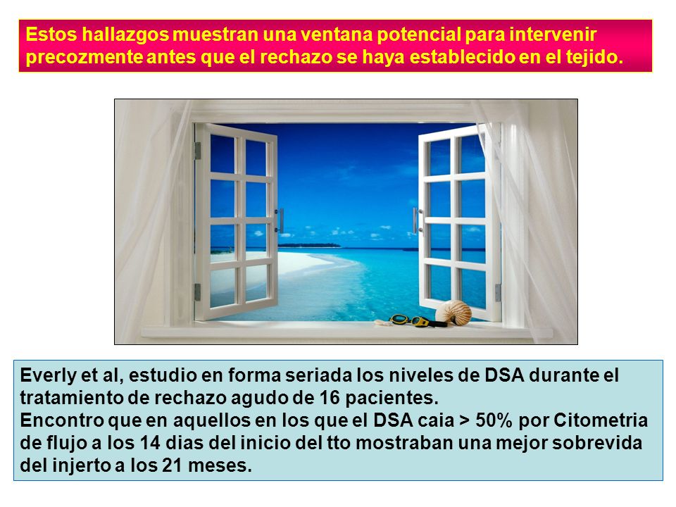 Estos hallazgos muestran una ventana potencial para intervenir precozmente antes que el rechazo se haya establecido en el tejido.